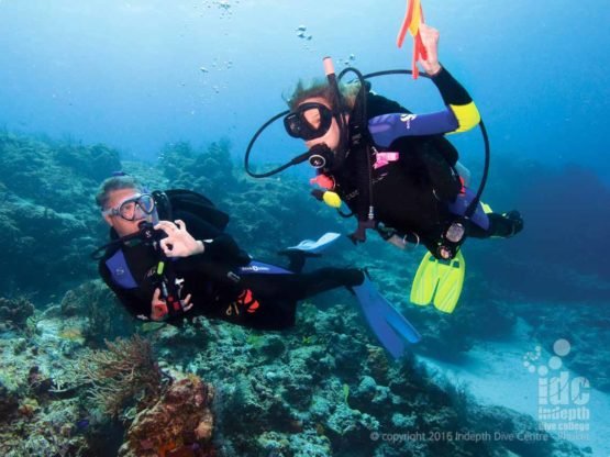 We offer the PADI Drift Diver Courses throughout the year, come join the fun!