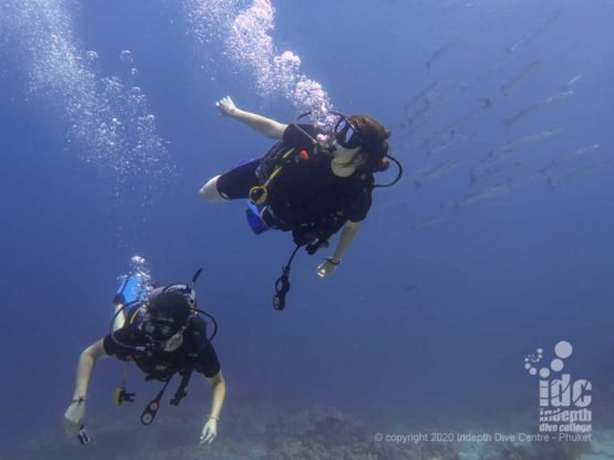 Divers at Deep Six Similan Islands Dive Site