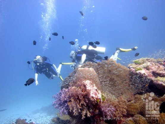 Scuba Diving with Indepth in the Andaman Sea
