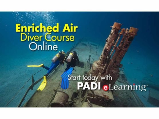 Start your PADI Nitrox Diver Course with PADI eLearning