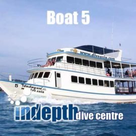 Indepth Dive Centre Phuket Diving Day Trip Boat 5