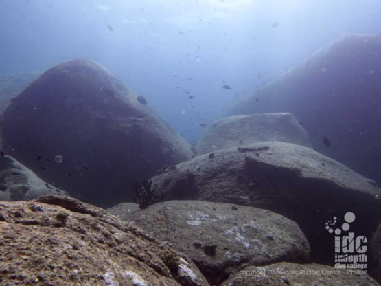 The giant granite boulders are one of the main features of North Point Dive Site
