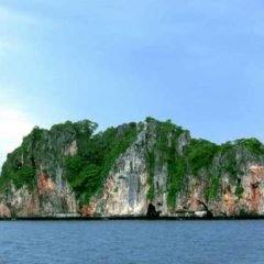 Ko Doc Mai is a nice wall dive near Chalong Phuket Thailand