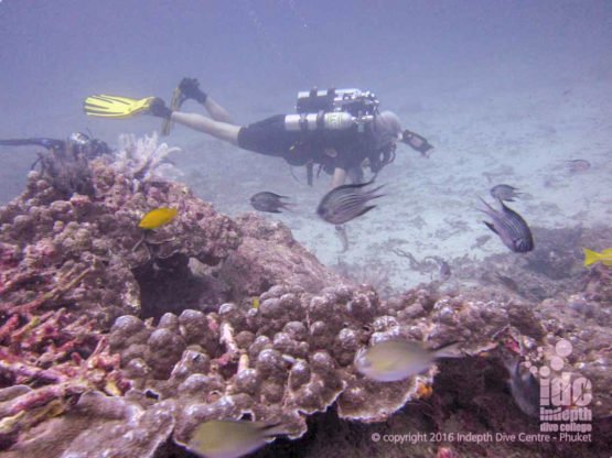 rebreather diving at Similan Beacon Reef