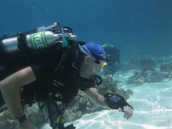Similan Islands Poseidon Reberather Diving with Indepth